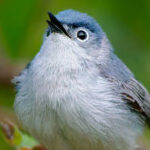 Group logo of DOMESTIC PHOTOGRAPHY WORKSHOPS