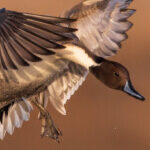 Group logo of National Parks of the US